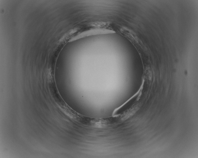 X0000067850564200604271648