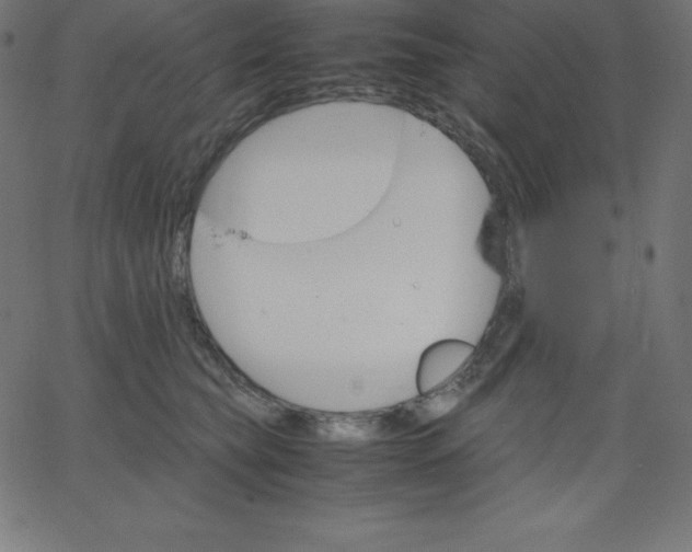 X0000067850565200604271648