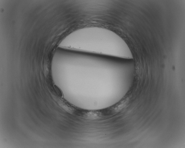 X0000067850566200604271648