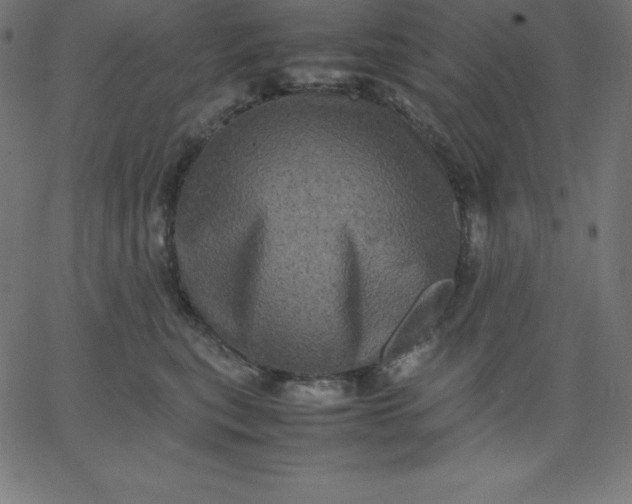 X0000067850567200604271648