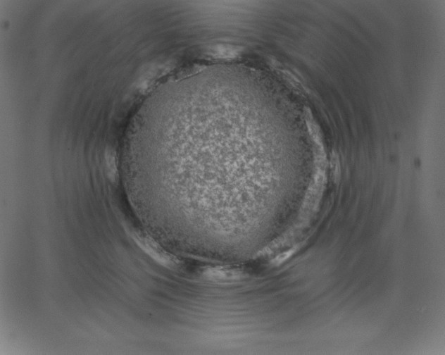 X0000067850568200604271648