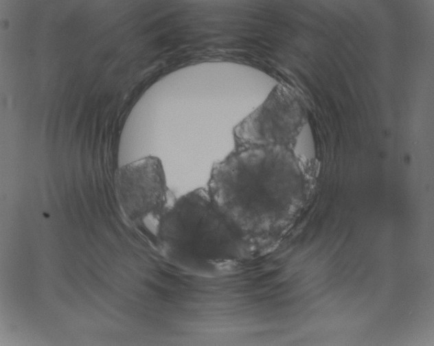 X0000067850569200604271648