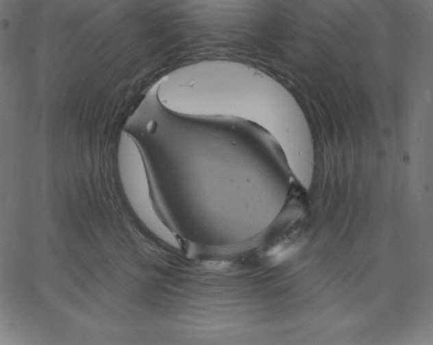 X0000067850570200604271648