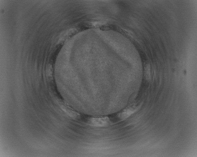 X0000067850571200604271648