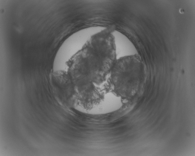 X0000067850573200604271648