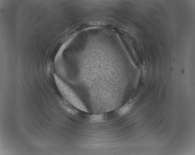 X0000067850574200604271648