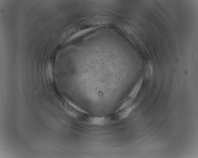 X0000067850575200604271648