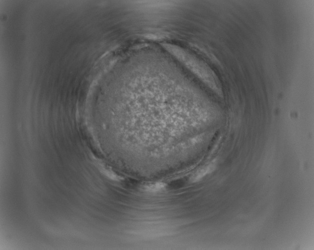 X0000067850576200604271648