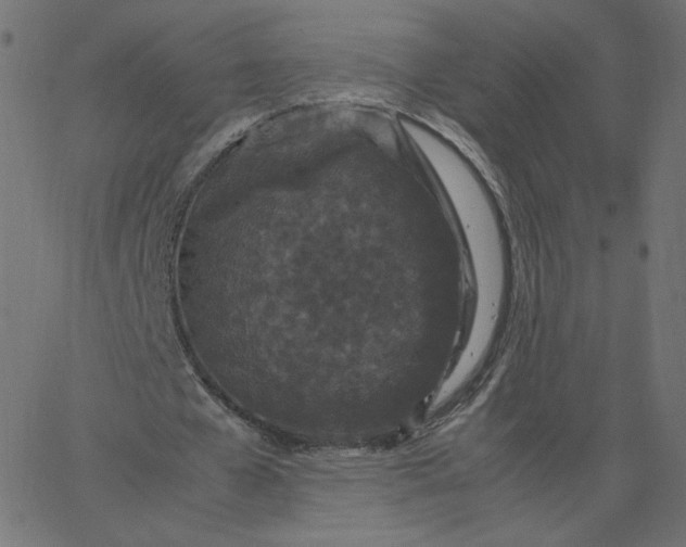 X0000067850577200604271647