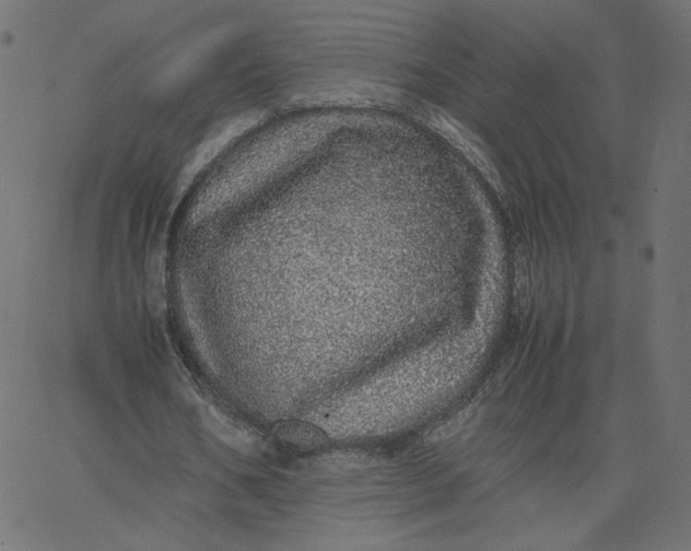 X0000067850578200604271647