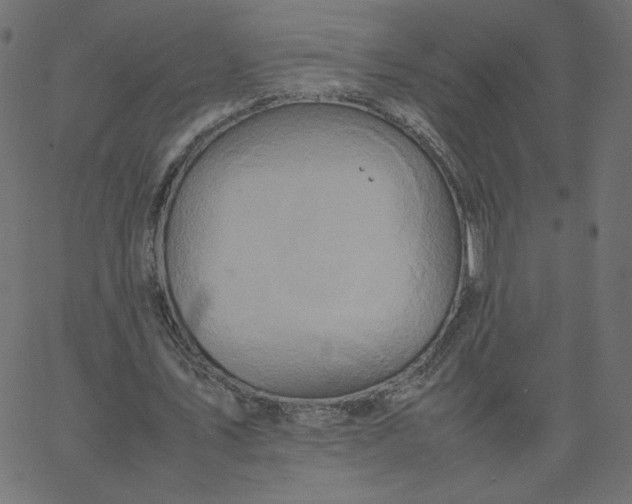 X0000067850579200604271647