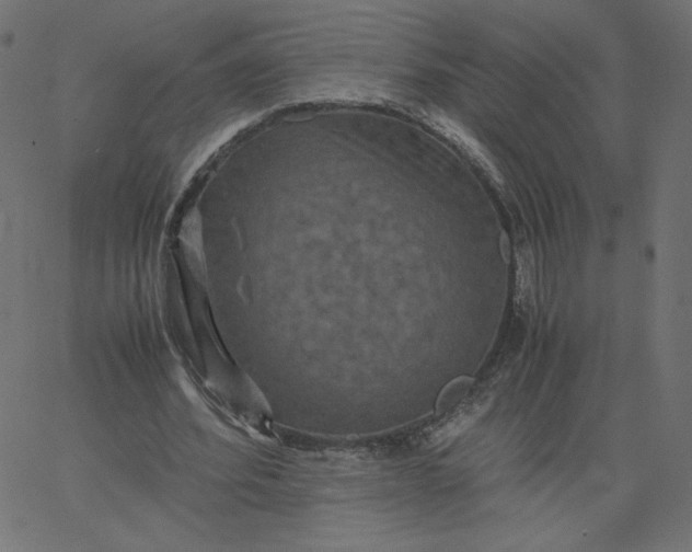 X0000067850580200604271647