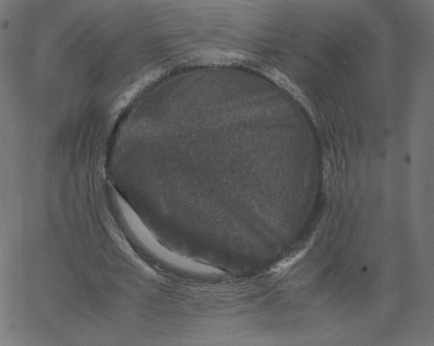 X0000067850581200604271647