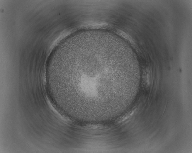 X0000067850582200604271647