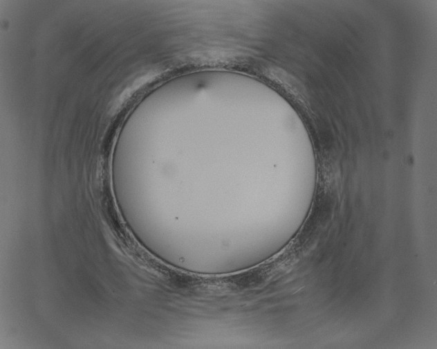 X0000067850583200604271647