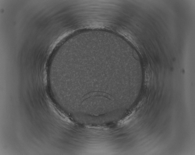 X0000067850584200604271647