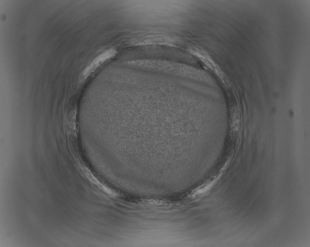 X0000067850585200604271647