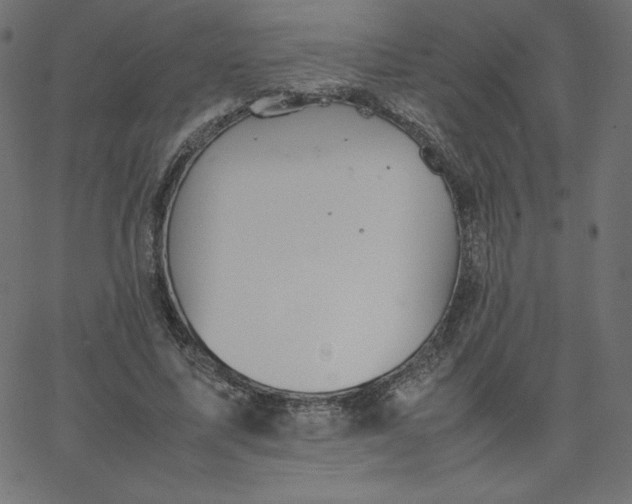 X0000067850587200604271647