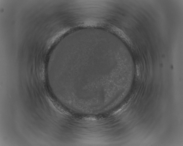 X0000067850588200604271647