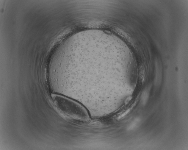 X0000067850589200604271647