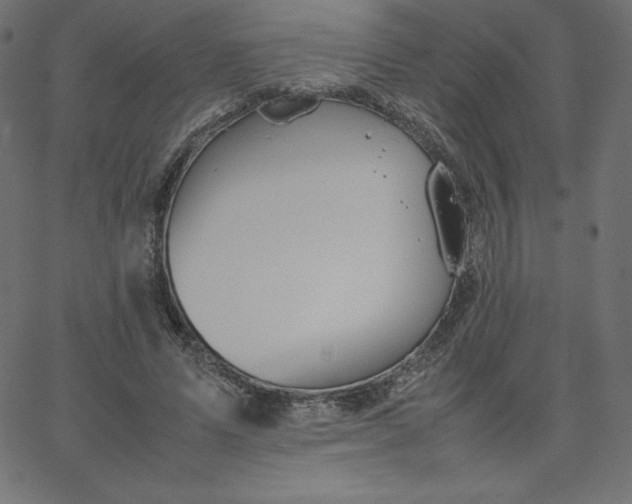 X0000067850591200604271647