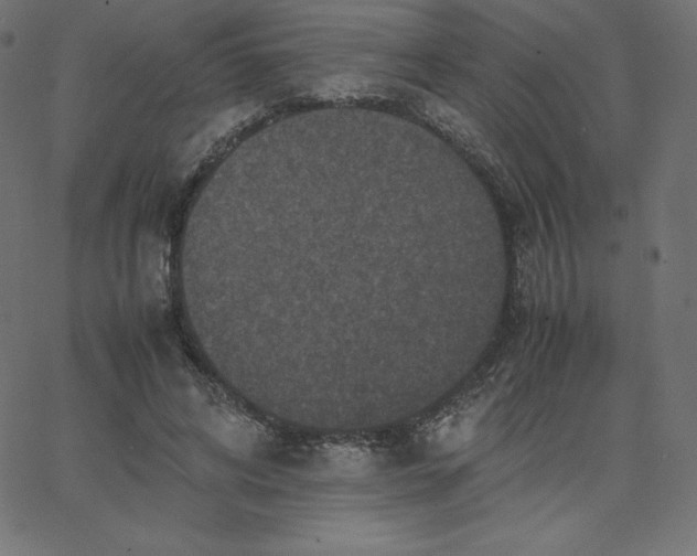 X0000067850592200604271647