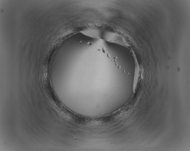 X0000067850593200604271647