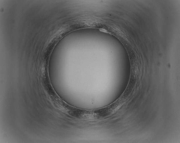 X0000067850595200604271647