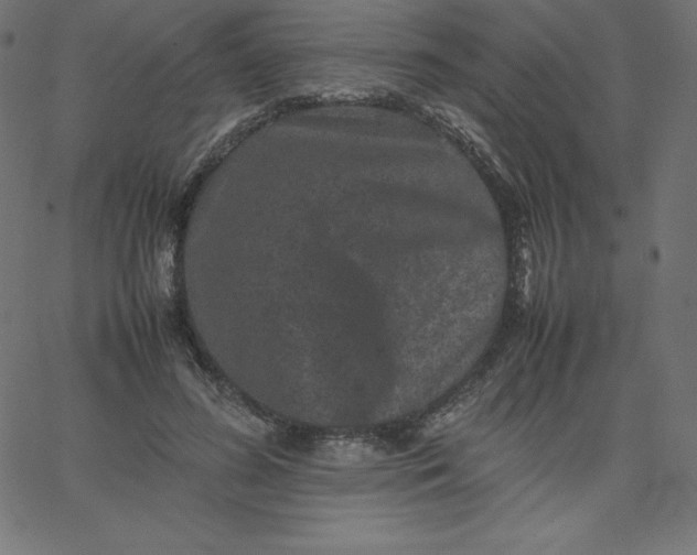 X0000067850596200604271647