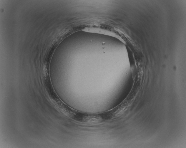 X0000067850597200604271647