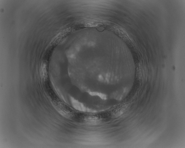 X0000067850598200604271647