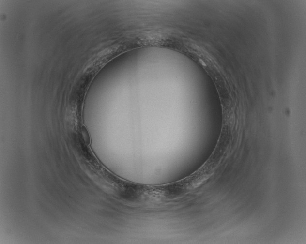 X0000067850599200604271647