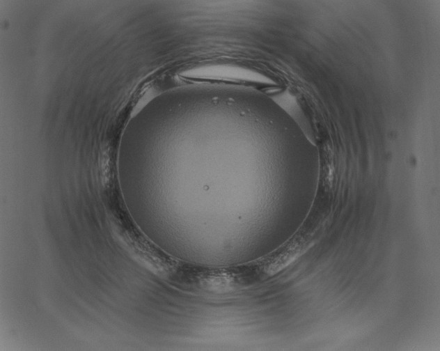 X0000067850600200604271647