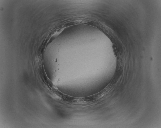 X0000067850601200604271647