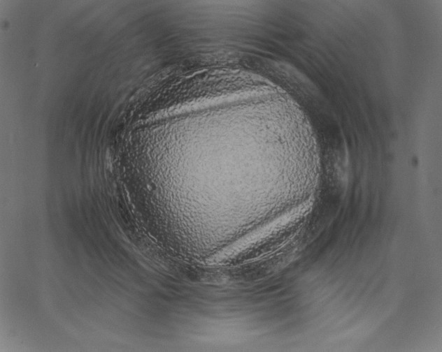 X0000067850602200604271647