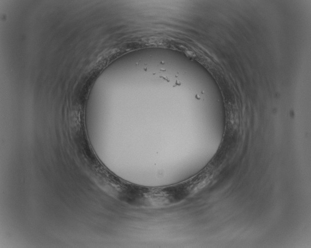 X0000067850603200604271647