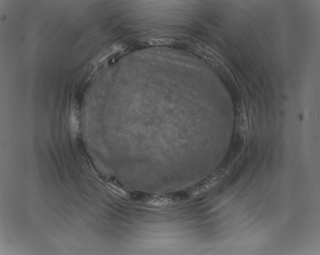 X0000067850604200604271647