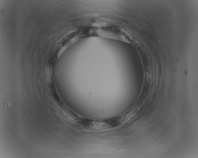 X0000067850605200604271647