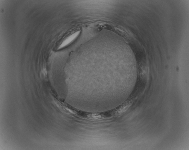 X0000067850607200604271647