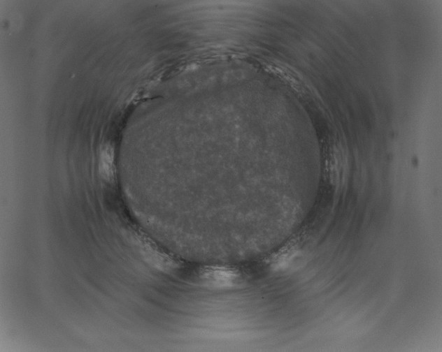 X0000067850610200604271647