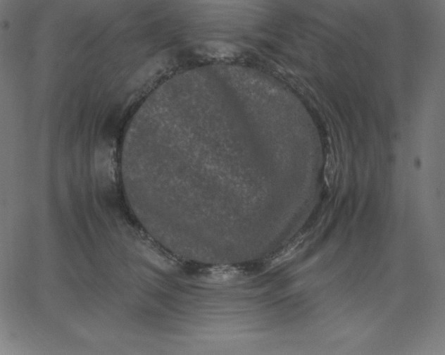 X0000067850612200604271647