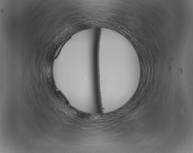 X0000067850613200604271647