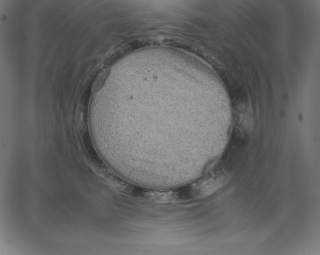 X0000067850615200604271647