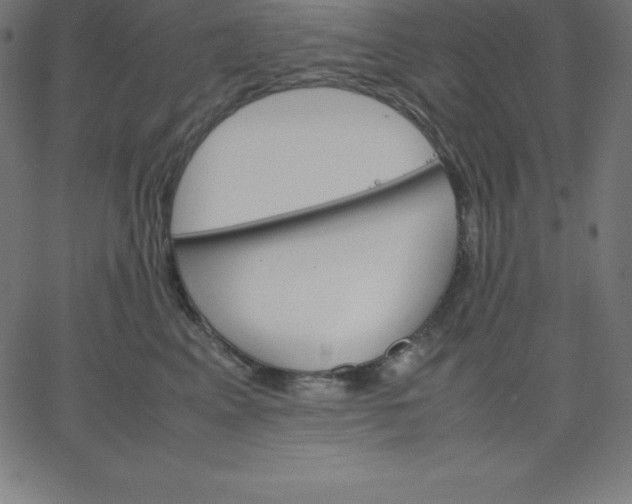 X0000067850617200604271647