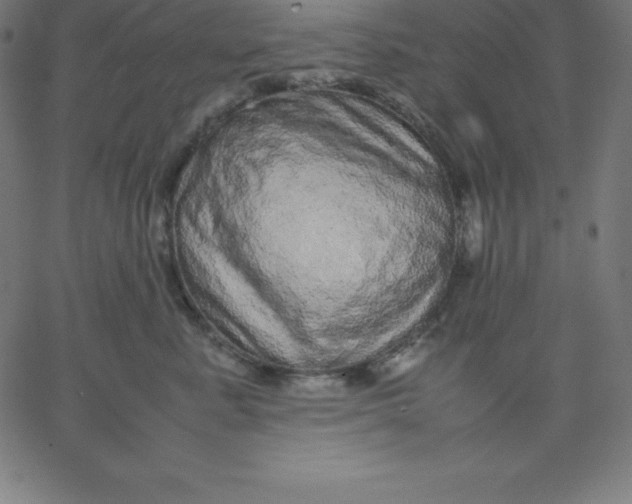 X0000067850619200604271646