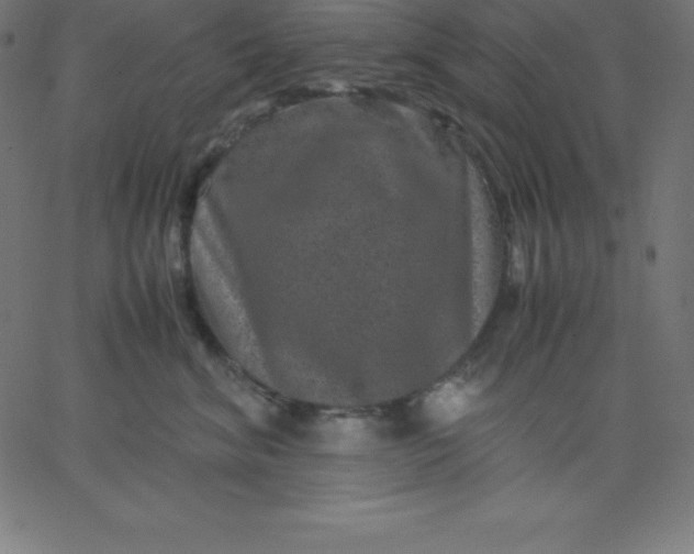 X0000067850620200604271646