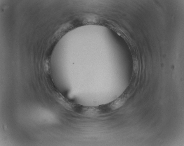 X0000067850621200604271646