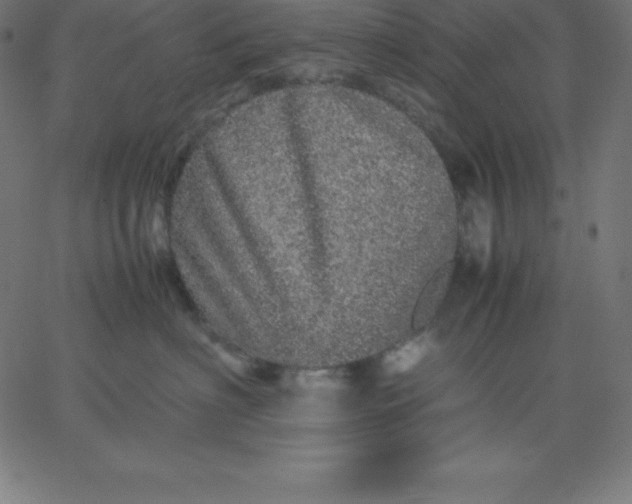 X0000067850622200604271646