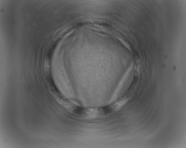 X0000067850623200604271646