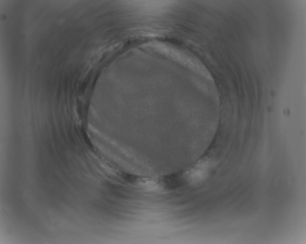 X0000067850624200604271646